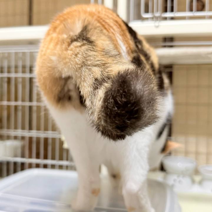 76ce4344 e20a 419e 876b a9bed44d90d4 1770601040951