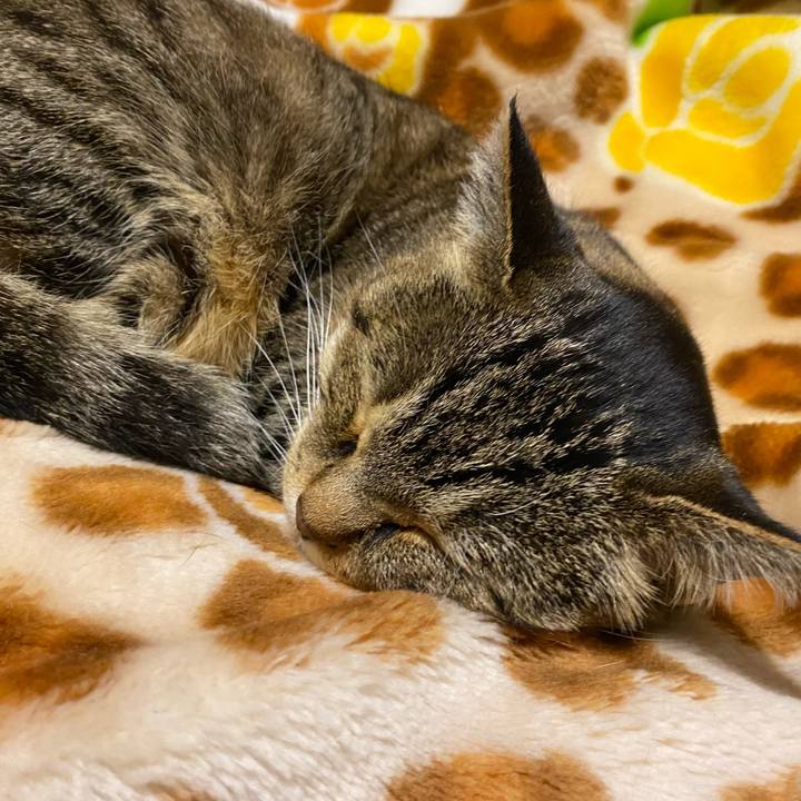 76ce569c 7566 43e9 83dc 2bee09272f4b 1614675521218