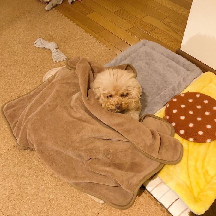 76ce5d52 8535 4c0f a007 df51b2fee622 1516959786656