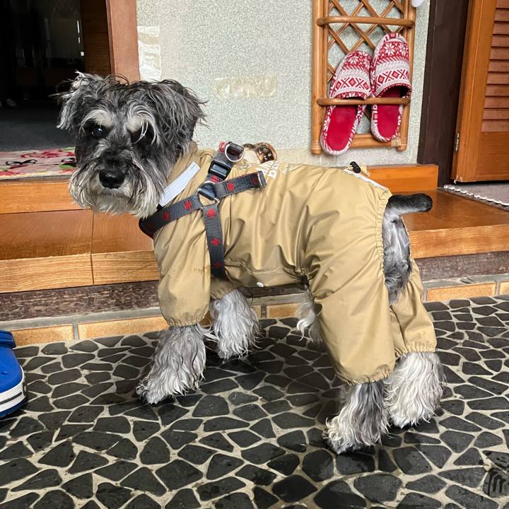 76ce9c6d 35a1 4792 988c 480dc87e2f28 1719121059655