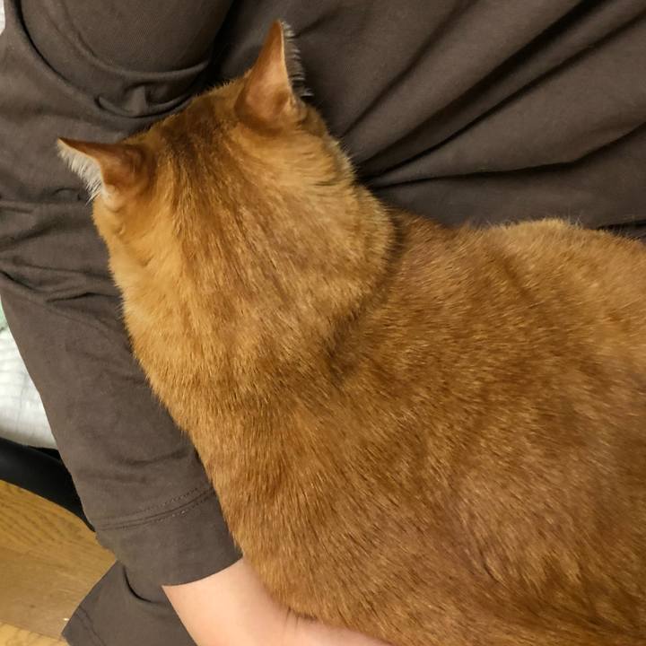 76cea715 fc9e 4af1 8240 bd0f4d535d3a 1635501231227