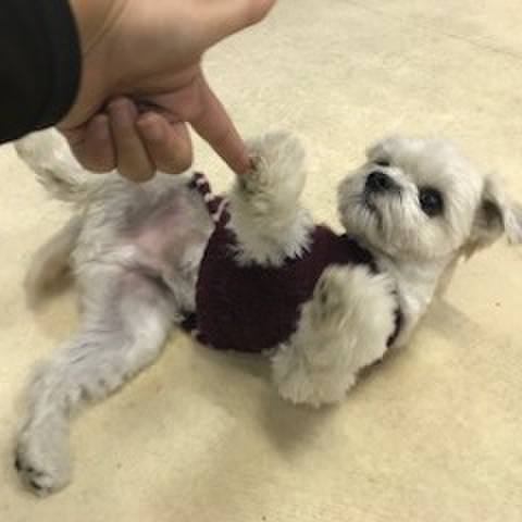 76ceaa06 8533 4f7a 8baf e1e22780e249 1513076093635