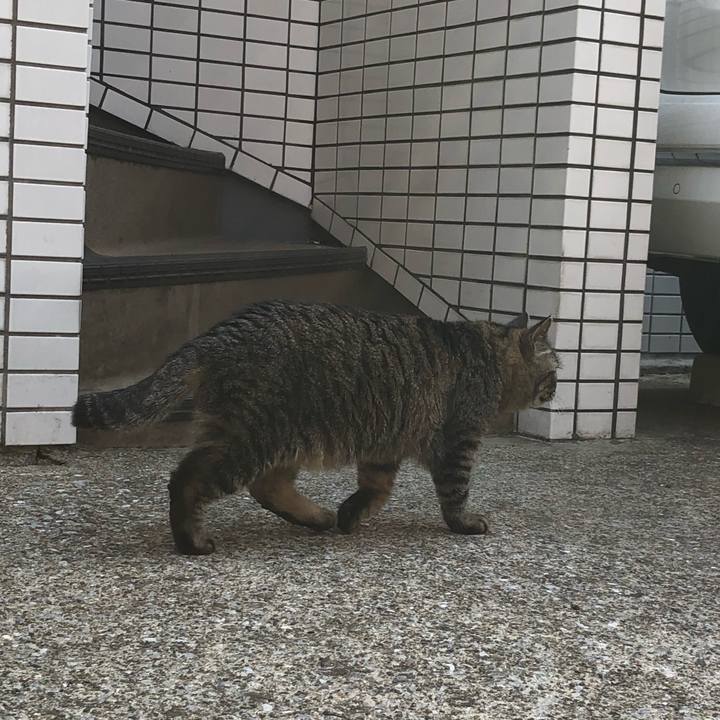 76cee91a 2111 48e2 9f4e c53a3cbbe7e8 1524209815360