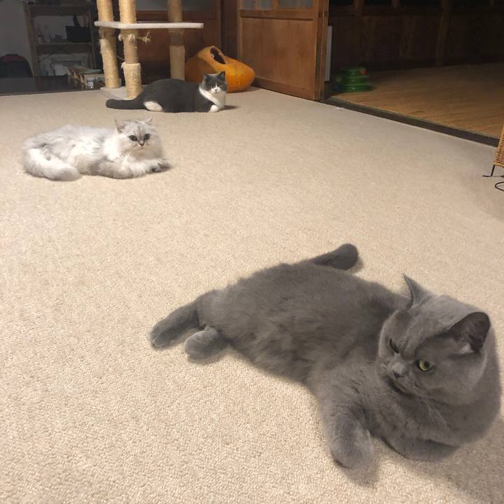 76cef39d ef5d 42fd 8530 78a9ddf6409c 1571737009171