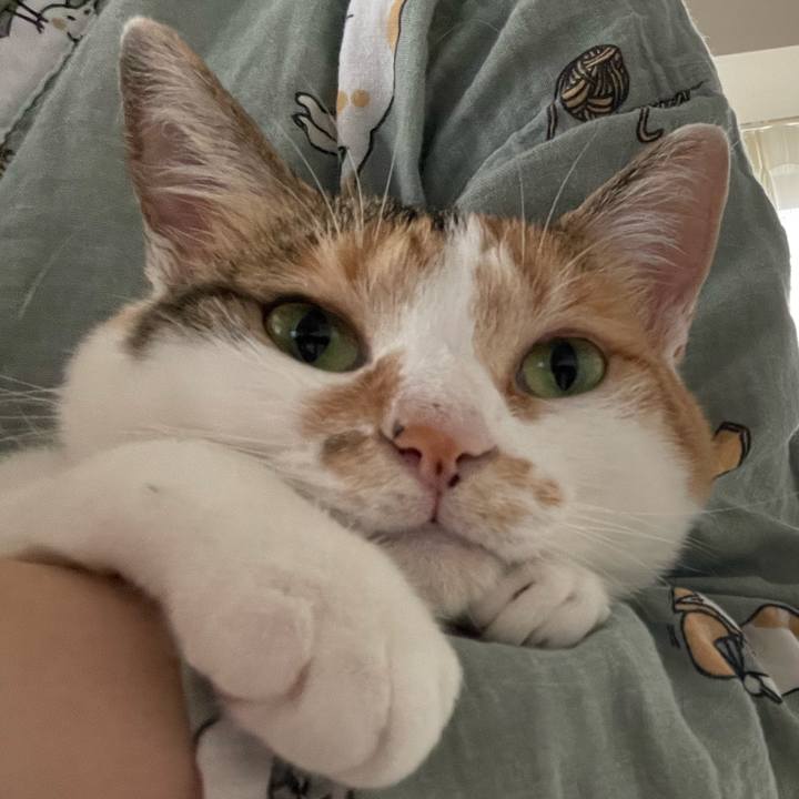 76cf1229 f2b1 4978 a9f3 933563781cf5 1689304630153