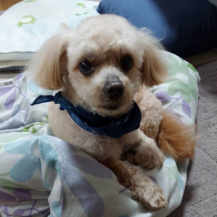 76cf1765 5d19 42dc baf5 76edf0040f08 1714197160468