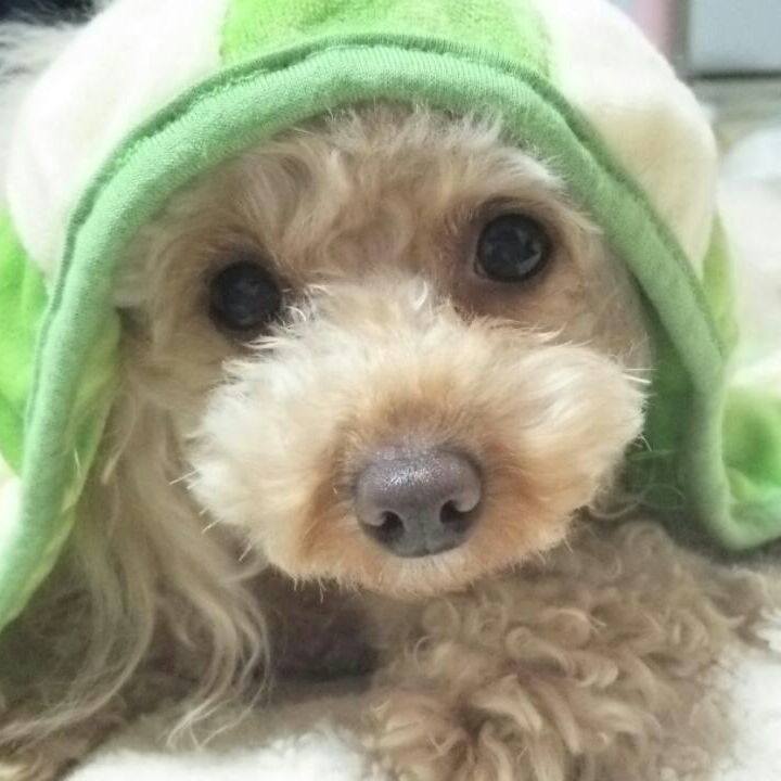 76cf32f9 9fb6 451e 8bcb 0a32649fa52c 1515841530723