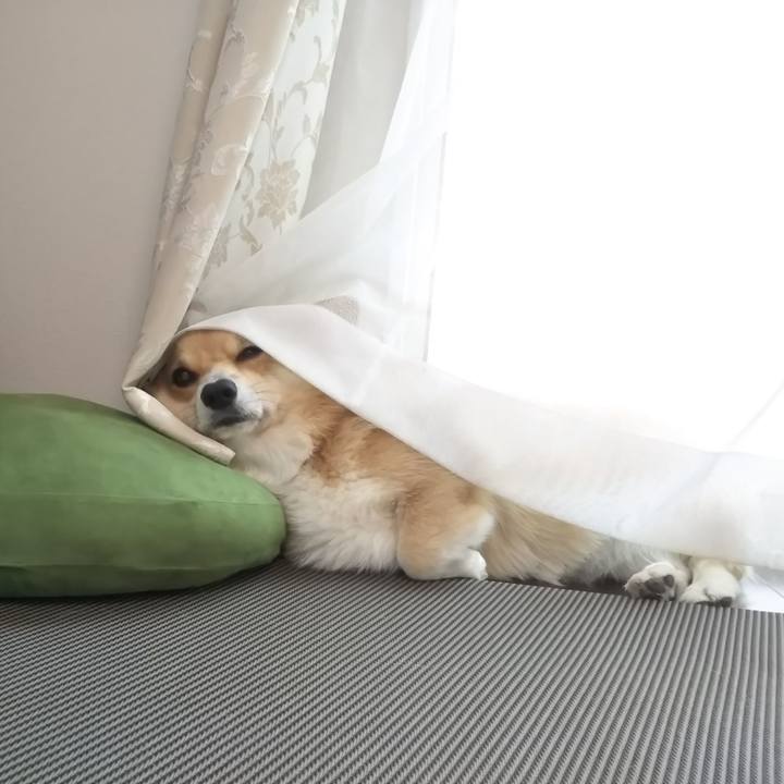 76cf3716 35f3 4f0d 8716 4b4d9810114d 1534064412191