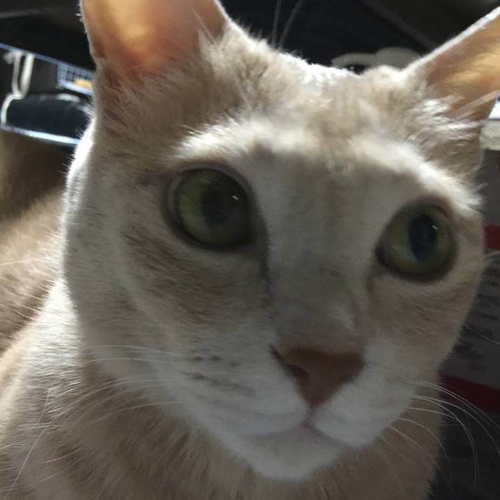 76cf95d7 298e 4cfb ac37 4c78355c8a61 1534326442377