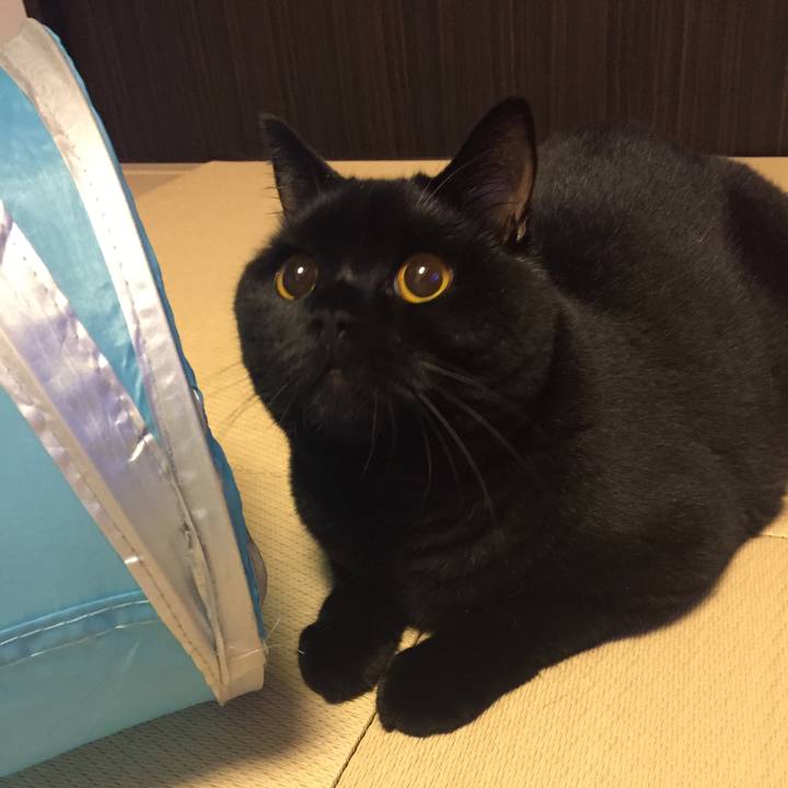 76cfb37c 8f76 4bd2 bb37 53414f92bd4d 1507722391535