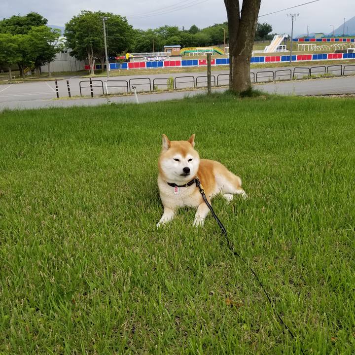 76cfbf9d abb9 4c6a 82fb cd2f6c145bde 1591430461677