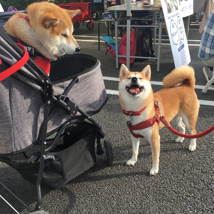 76cfc67d 6e8b 4692 b430 28196ca52f22 1575197417467