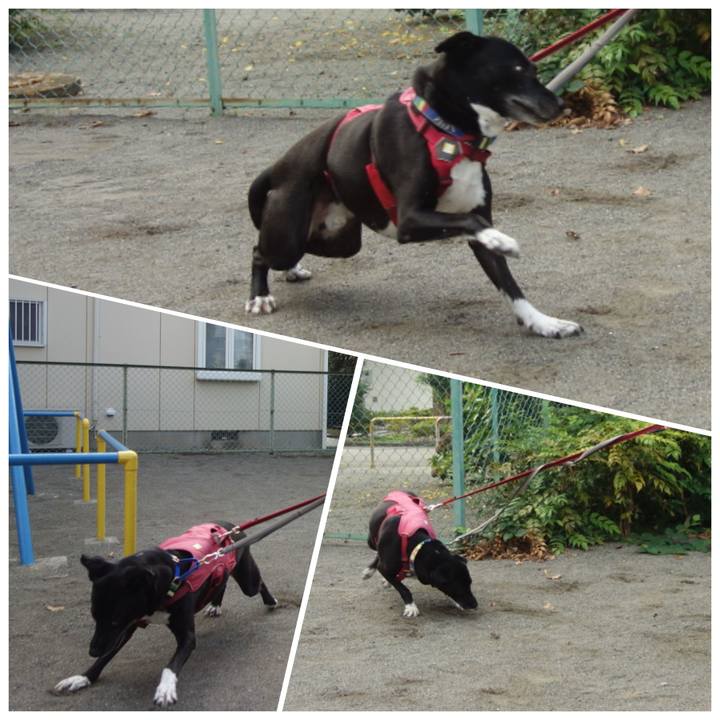 76d033ce fdd8 4f60 870e 95b6a15d291f 1694911584313