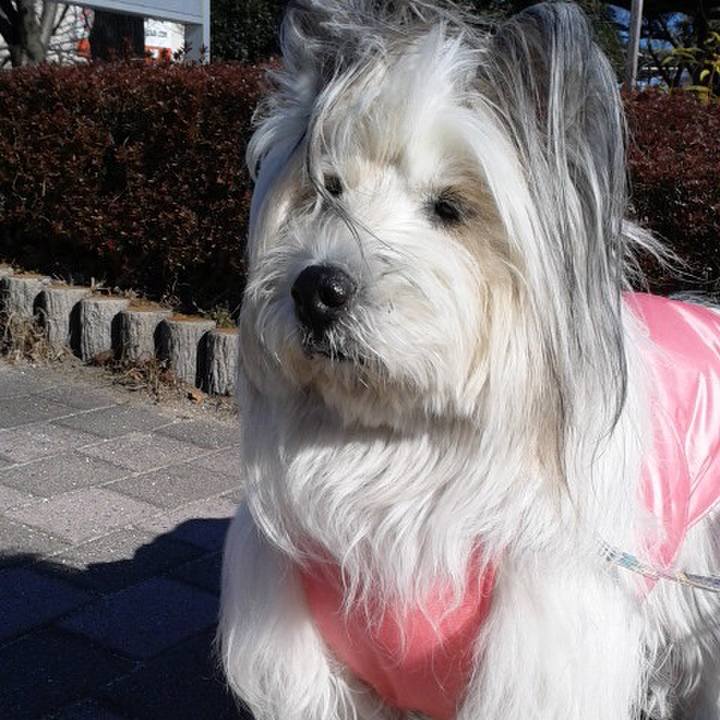 76d0530e 9d4b 4a40 93f4 2d4d82cdb81b 1549700884537