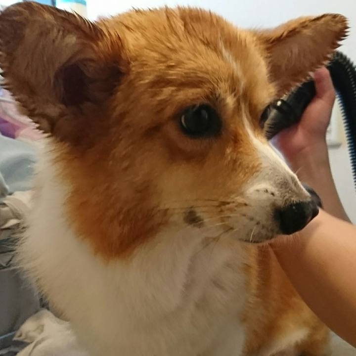 76d066a7 6039 4885 8ff8 8cf25d180906 1532870132142