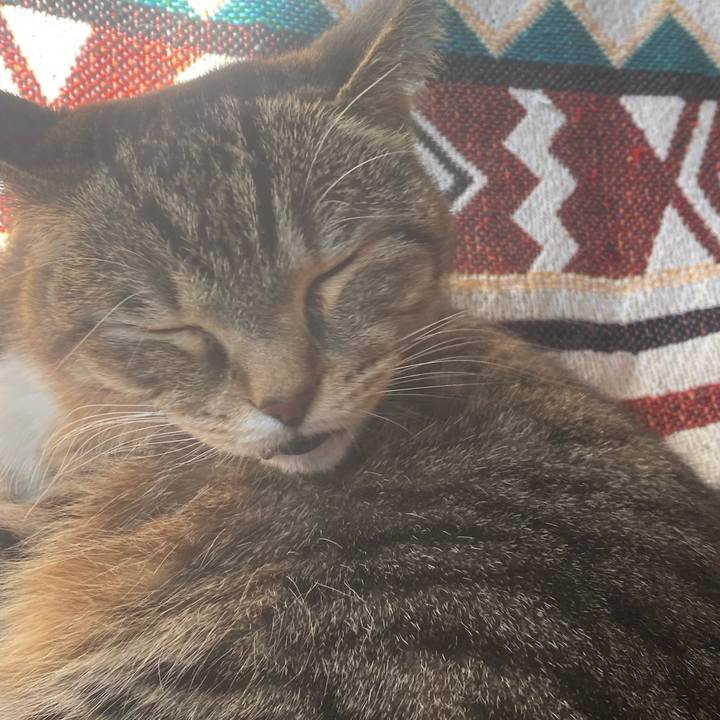 76d06948 1241 408e 8f20 e9aa55d89801 1737861119171