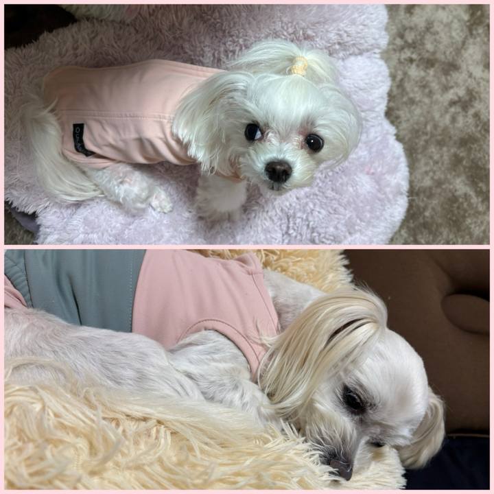 76d0b333 764f 404d bc54 002279f9a1e4 1767000146631