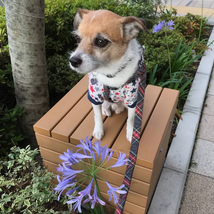 76d15979 a009 4a08 b253 ce56942f4526 1562713803635