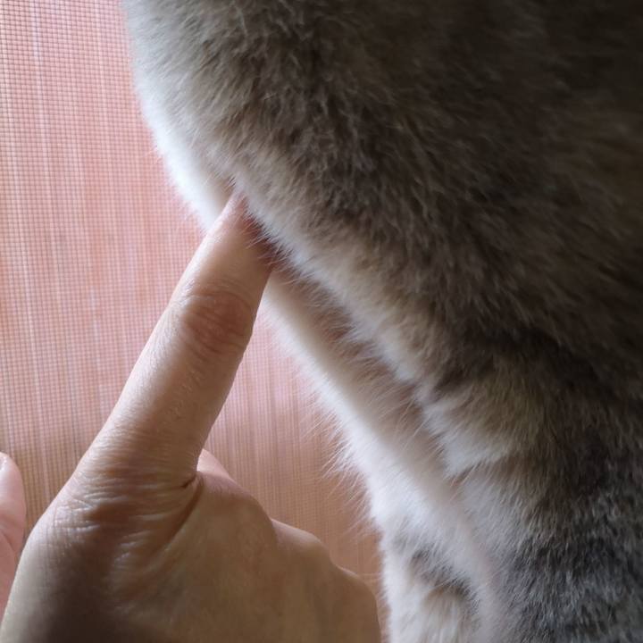 76d16df0 73e6 4833 8953 843b4dc27504 1578558159506