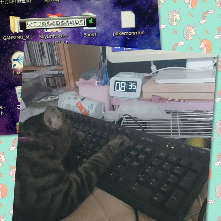 76d18041 7913 4cde 9b4a 7e05c58dbac4 1565742923850