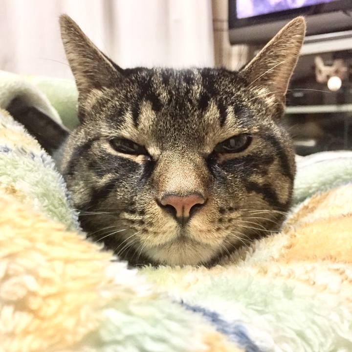 76d1a9b4 0382 4637 ad0e 9e69783fea06 1509238578560