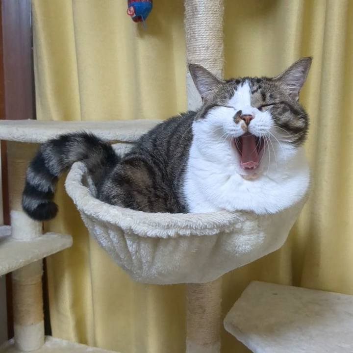 76d1fcbf 4b4a 44bb 857a 4de1bccbe2f9 1694858218607