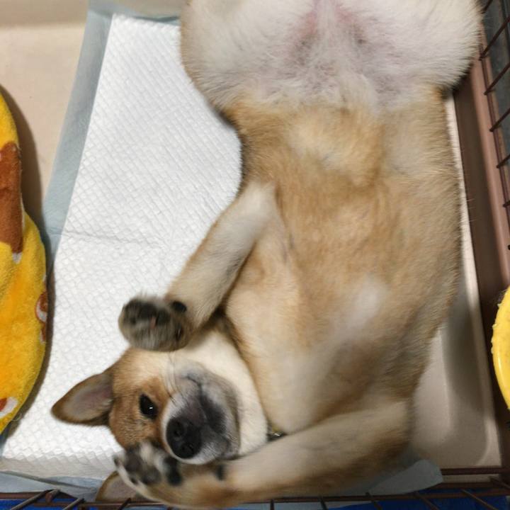 76d26129 372c 4d3f 8b97 7744388bd6ae 1563282958702