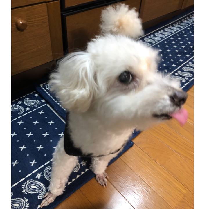 76d2b861 50ac 497c 81bc c188f3e4bd8c 1557354217171