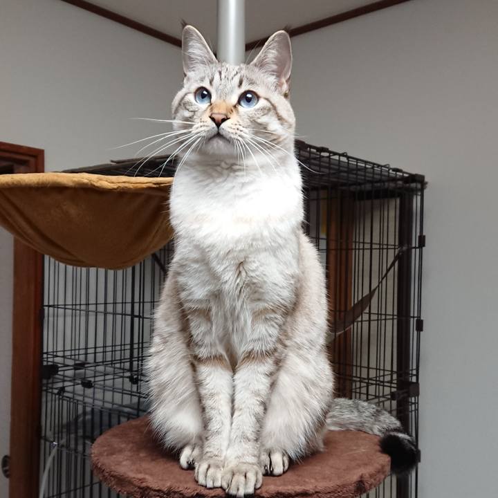 76d2c1c8 df53 4452 8ec5 e2d92de716e7 1514470551199