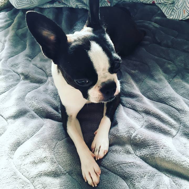 76d30271 54af 43d3 9a46 2193240e4b03 1524900203596