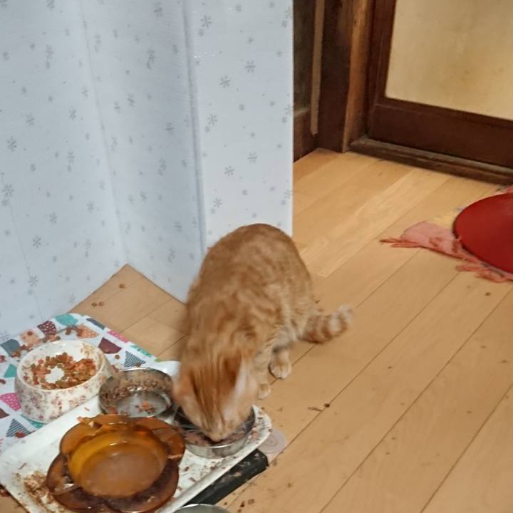 76d30664 1fd3 47a1 8a69 40d877eb7b5f 1645567110022