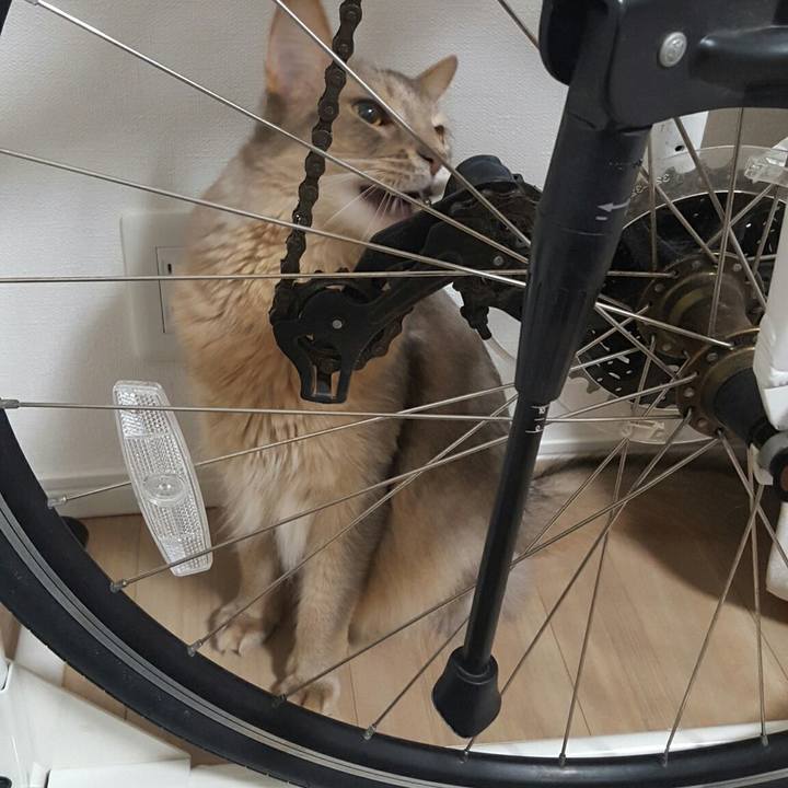 76d31870 9aa0 4a9b 9cc9 c27d4469cc64 1542288552825