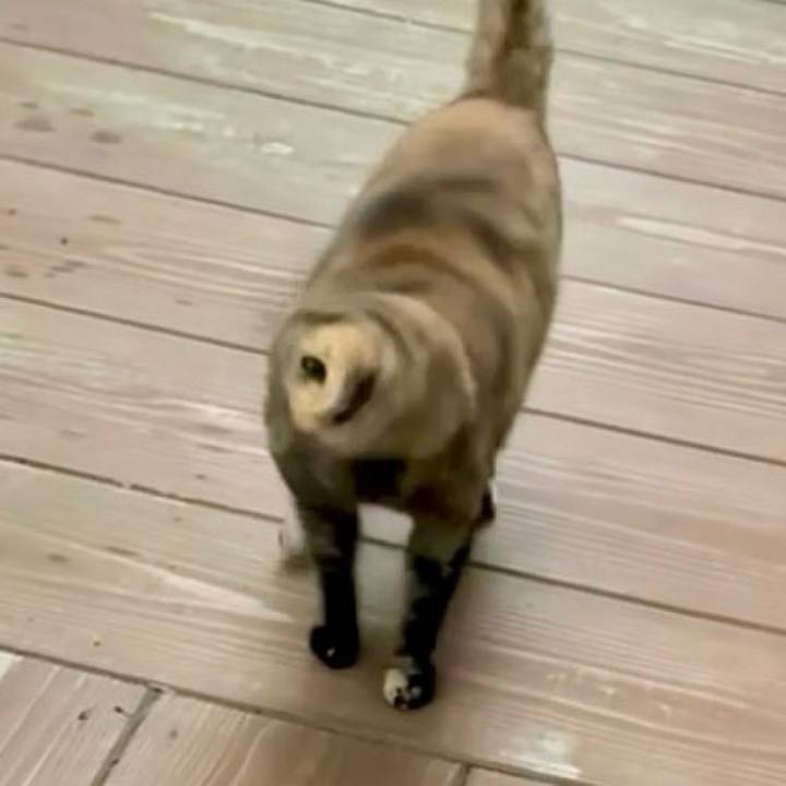 76d32885 cce5 4af0 99ff 3ab984838428 1757663061692