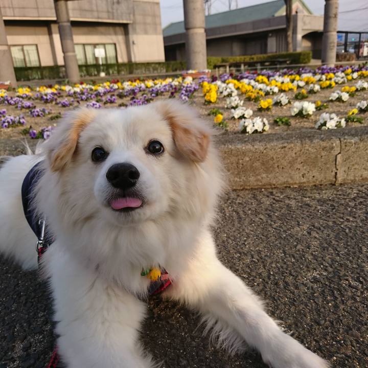 76d339c8 e863 457d b853 85c19723f5cf 1522272255257