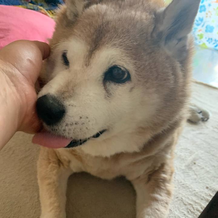 76d34c33 defc 4441 a0c2 ed474dd81416 1620025415710