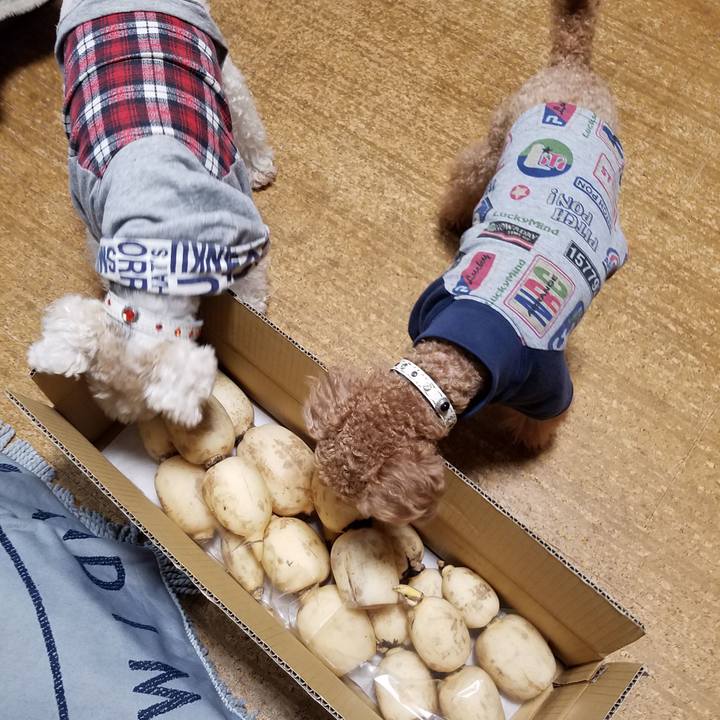 76d35cb6 9a4f 4875 bd55 ddc81f9839b5 1572993344212