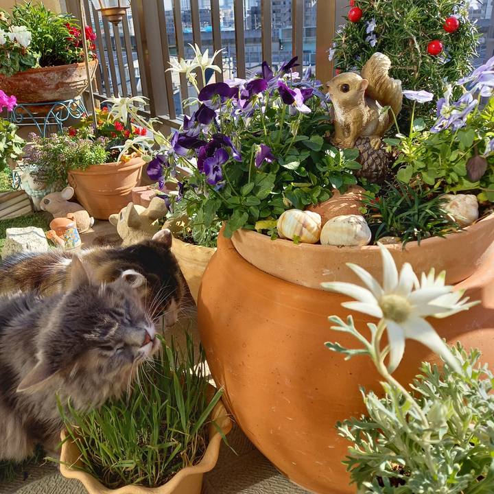 76d37668 2858 4d0d 847b 26759626fbd6 1607607106040