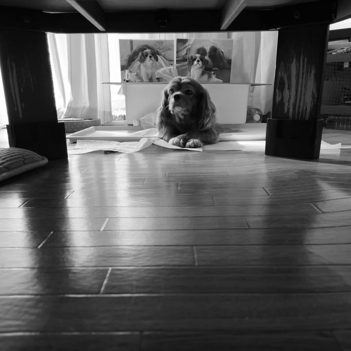 76d379eb e72d 4b31 a857 3950d3e957fa 1659443730409