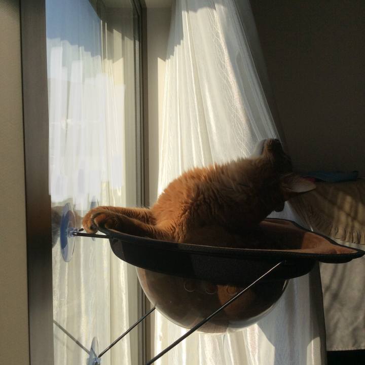 76d37be5 3471 4193 9935 3fe3a6565b4c 1612659540161