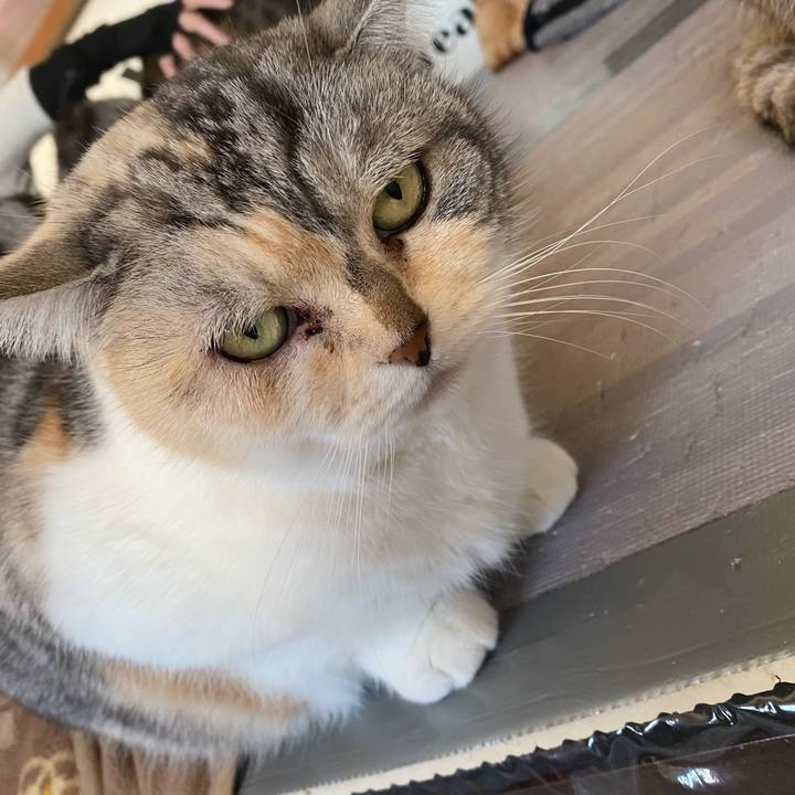 76d39b96 fe3d 42b9 a2bf 7c418a0ceb3c 1679211622754