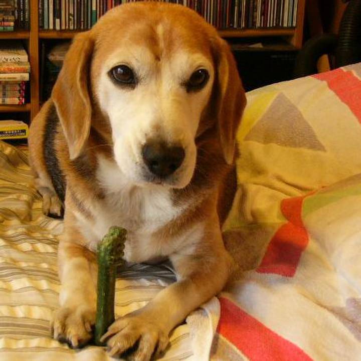 76d3b0bc bb1e 4546 b169 1b8c0b062b67 1647907949935