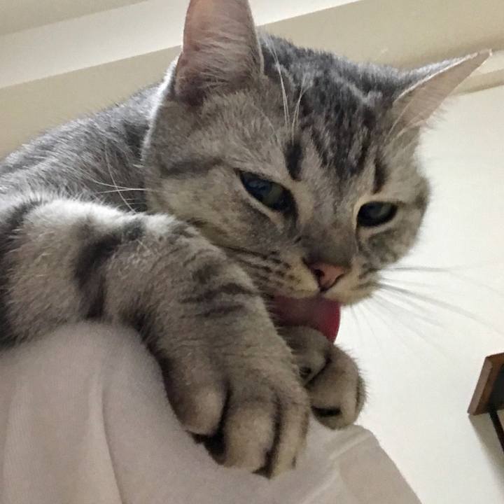 76d3d2e1 b541 4da6 82eb d3059cfec98c 1510214728432