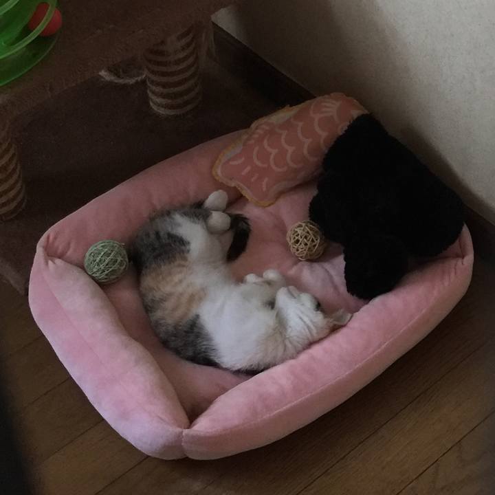 76d3e8d5 3083 457f a16a ffffacbfa77d 1631747120148