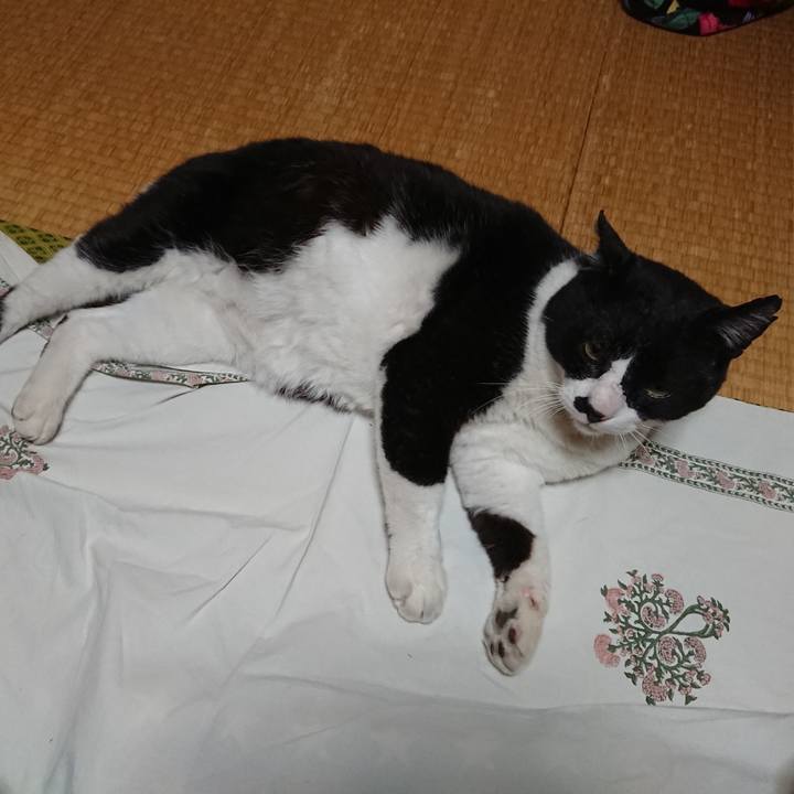 76d3eee6 f1fc 4c35 be68 519f4839a14c 1588242511260