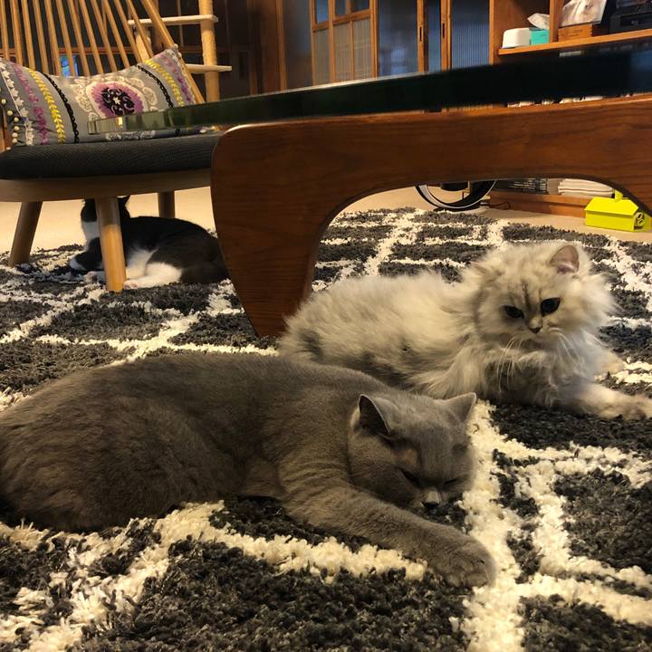 76d40f27 590a 44d0 a724 a581abe22e9c 1579746320356