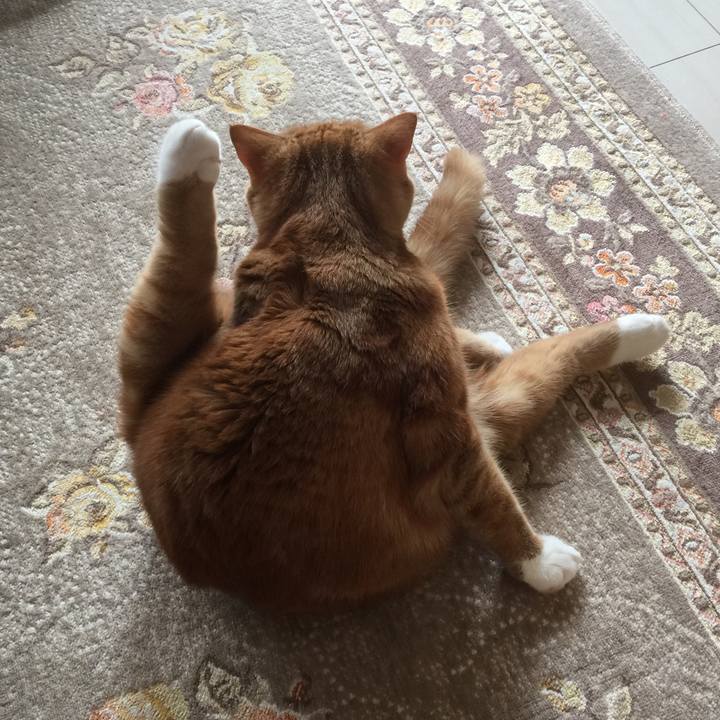 76d435ca 0a51 407b b83b 8e3359fc866b 1584844739199