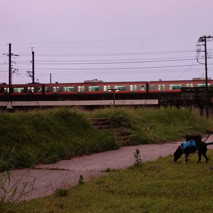 76d47ff3 1818 4947 be1e 93bc492f8453 1718708581583