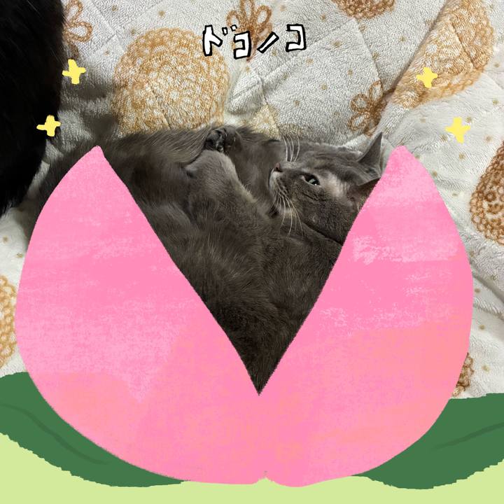 76d4838d f949 42bc 926f 7b3d4548a00e 1771931032637