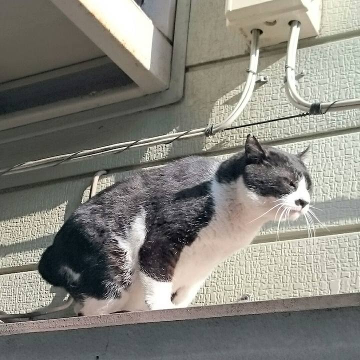 76d496c6 e59d 45e3 b246 4b106e5255a3 1521083874304