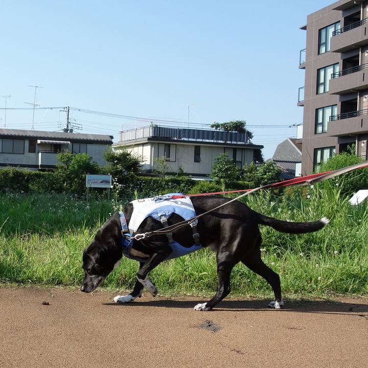 76d49b32 fc1c 4627 a28c 54519b6a24eb 1720139541016